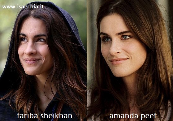 Somiglianza tra Fariba Sheikhan e Amanda Peet