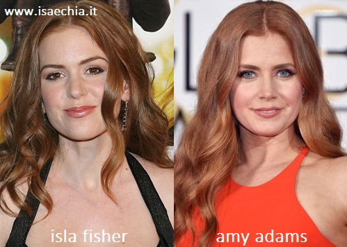 Somiglianza tra Isla Fisher e Amy Adams preview