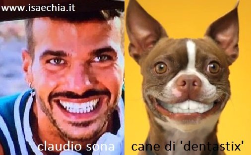 Somiglianza tra Claudio Sona e il cane della ‘Dentastix’