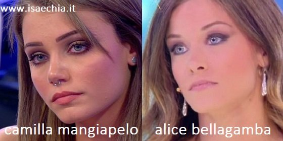 Somiglianza tra Camilla Mangiapelo e Alice Bellagamba