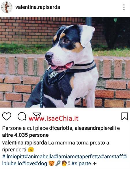 Instagram - Rapisarda