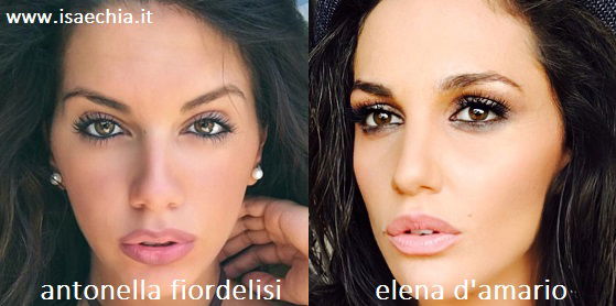 Somiglianza tra Antonella Fiordelisi e Elena D'Amario