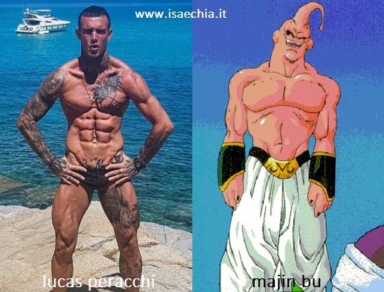 Somiglianza tra Lucas Peracchi e Majin Bu di 'Dragon Ball'