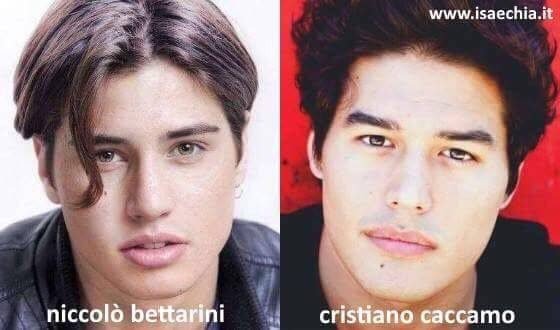 Somiglianza tra Niccolò Bettarini e Cristiano Caccamo