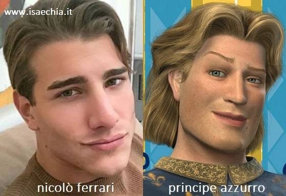 Somiglianza tra Nicolò Ferrari e il Principe Azzurro di 'Shrek'