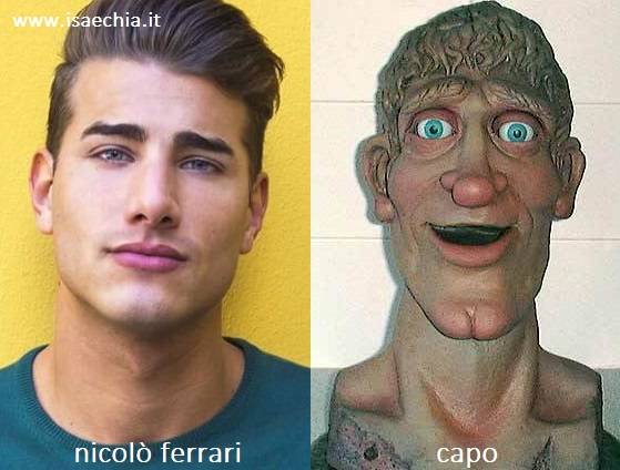 Somiglianza tra Nicolò Ferrari e Capo di 'Art Attack'