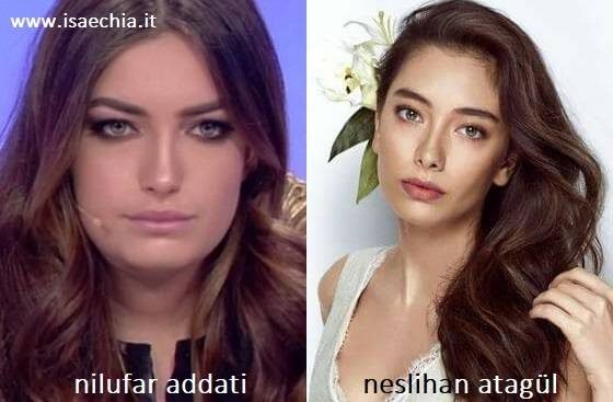 Somiglianza tra Nilufar Addati e Neslihan Atagül