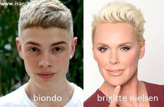 Somiglianza tra Biondo e Brigitte Nielsen