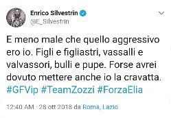 Twitter - Silvestrin