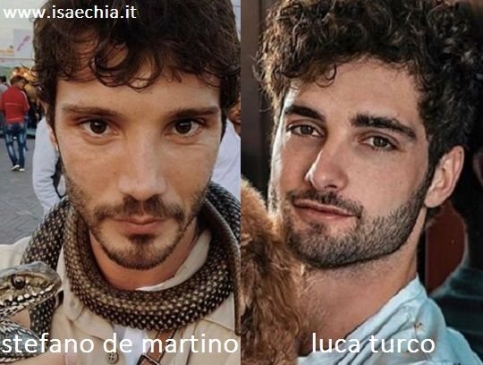 Somiglianza tra Stefano De Martino e Luca Turco