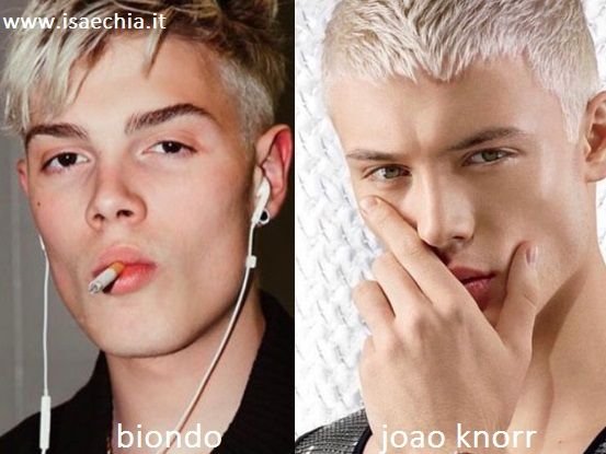 Somiglianza tra Biondo e Joao Knorr
