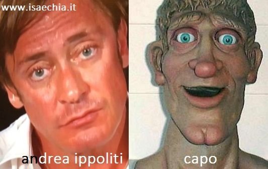 Somiglianza tra Andrea Ippoliti e Capo