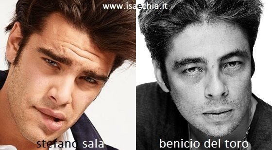 Somiglianza tra Stefano Sala e Benicio del Toro