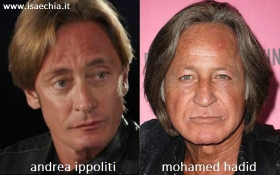 Somiglianza tra Andrea Ippoliti e Mohamed Hadid