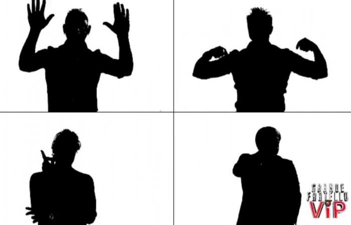 ‘Gf Vip 4’, gli ex gieffini Pasquale Laricchia, Patrick Ray Pugliese, Salvo Veneziano e Sergio Volpini pronti a tornare nel cast! preview