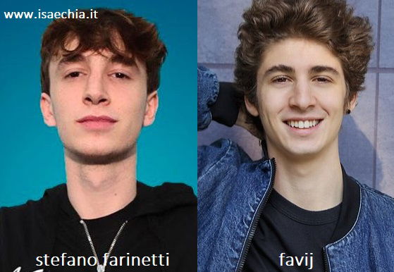 Somiglianza tra Stefano Farinetti di 'Amici 19' e Favij