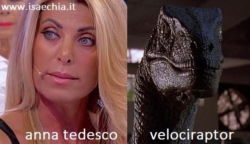 Somiglianza tra Anna Tedesco e un velociraptor di Jurassic Park