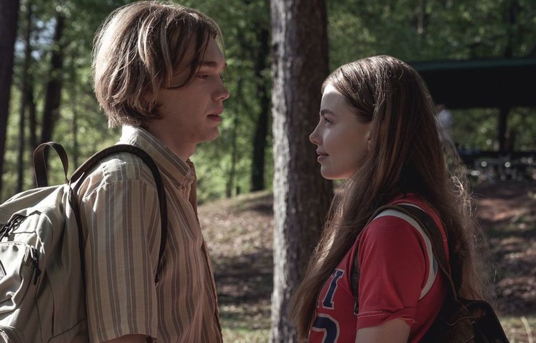 ‘Cercando Alaska’, arriva il nuovo teen drama prodotto dal creatore di ‘The O.C.’ e ‘Gossip Girl’: ecco di cosa parlerà! article-post