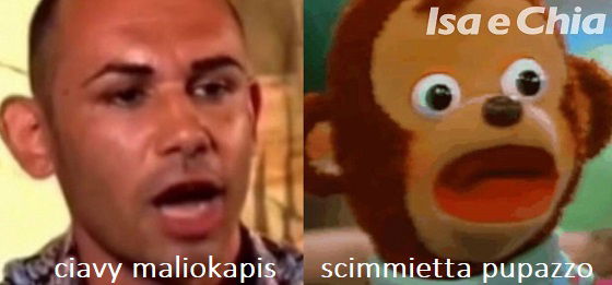 Somiglianza Ciavy Maliokapis e scimmietta