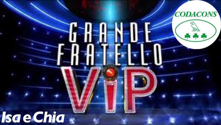 ‘Gf Vip 5’, il Codacons invoca la chiusura anticipata del reality di Alfonso Signorini: ecco perché article-post