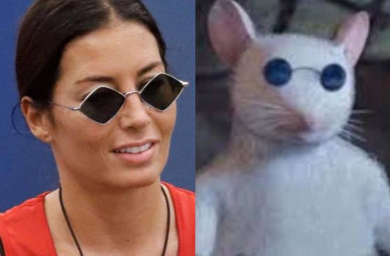 Somiglianza tra Elisabetta Gregoraci e il topino di Shrek
