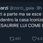 Twitter - Gaia Zorzi