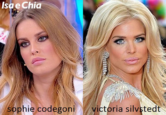 Somiglianza tra Sophie Codegoni e Victoria Silvstedt