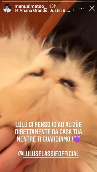 Instagram - Bortuzzo