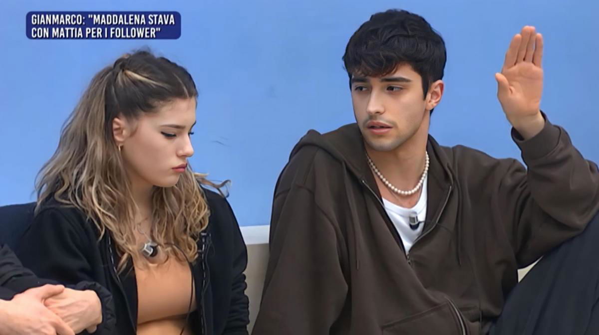 Amici 22, Gianmarco Petrelli accusa Maddalena Svevi di esser stata con Mattia Zenzola per i followers: scoppia la lite article-post