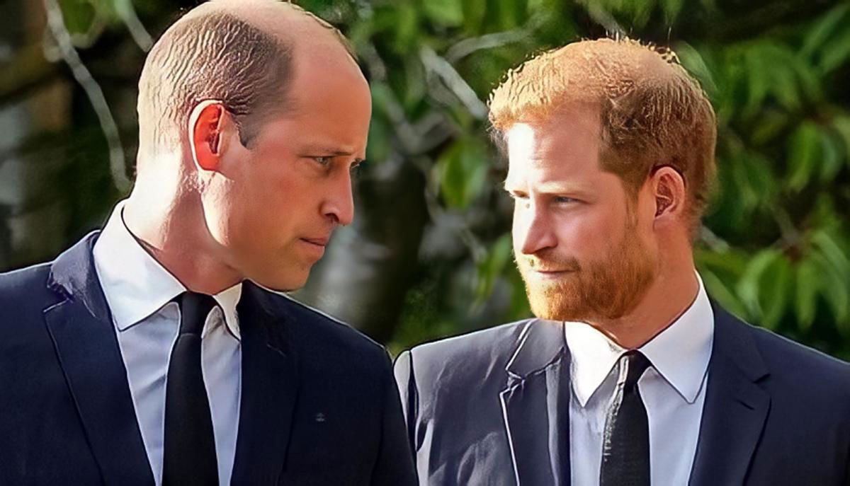 Harry e il clamoroso racconto della lite con William: “Graffi e lividi sulla schiena, mi ha sbattuto a terra a causa di Meghan” article-post