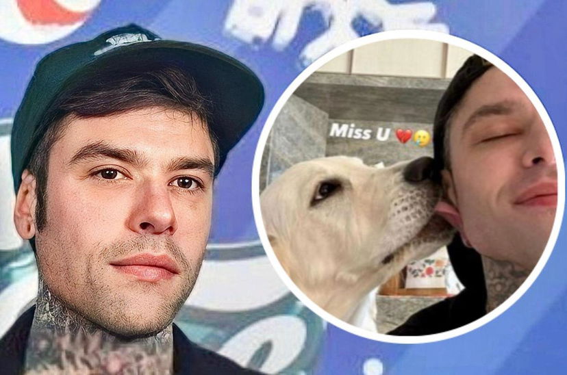 Fedez, “che fine ha fatto Paloma?”: la dura replica del rapper preview