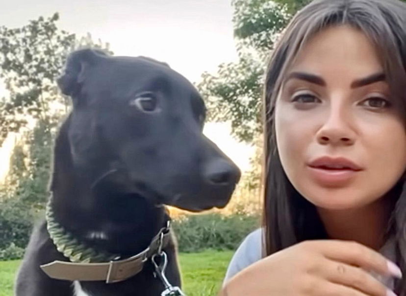 Eleonora Rocchini pubblica le fatture dopo l’operazione del suo cane e confessa: “Ho passato giorni da incubo”. Ma Gabriele Parpiglia solleva altri dubbi preview