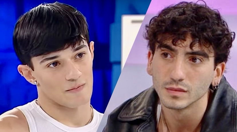 Amici 24, Daniele Doria e Francesco Fasano svelano quali proposte lavorative hanno deciso di accettare dopo la finale preview