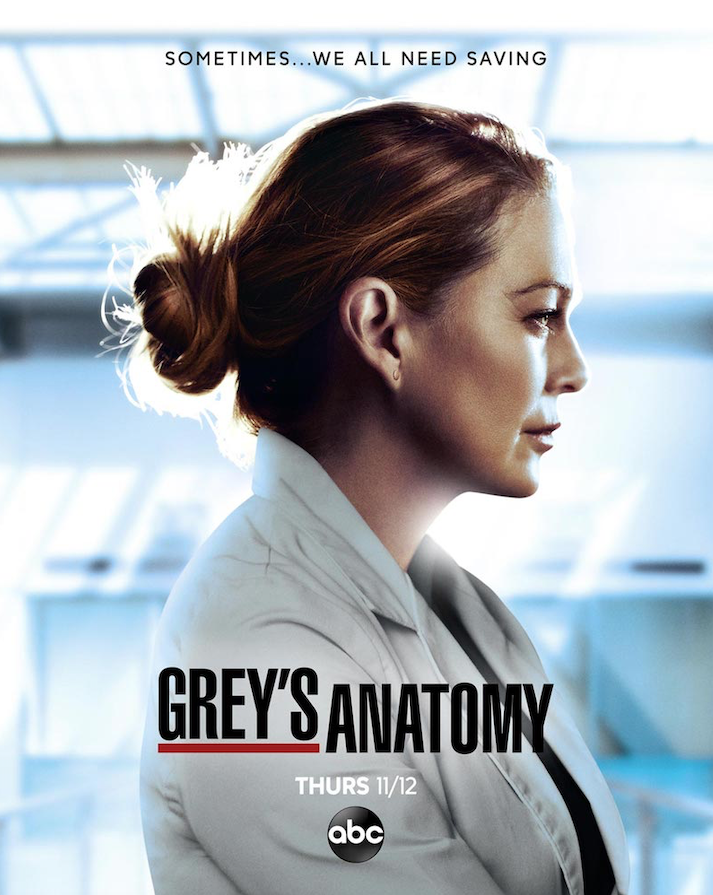 Grey's Anatomy 17
