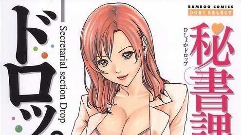 Recensione: Secretarial Section Drop vol. 1 (di 3) preview