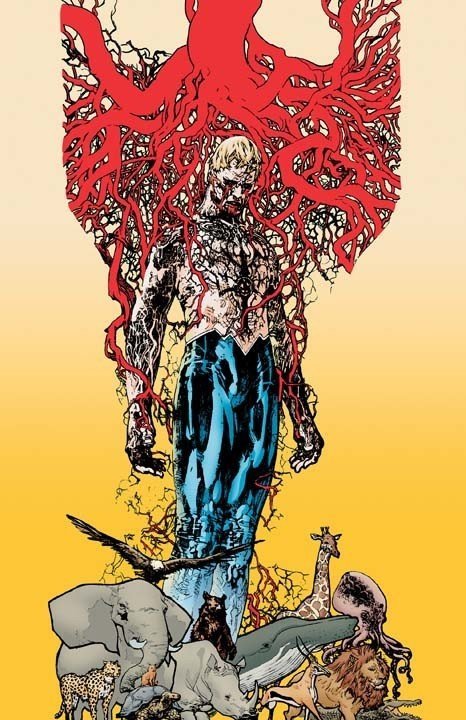 Secondo parere: Animal Man 1 di Jeff Lemire article-post