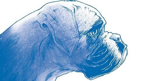 Cave Canem di Nicolò Assirelli: Recensione preview