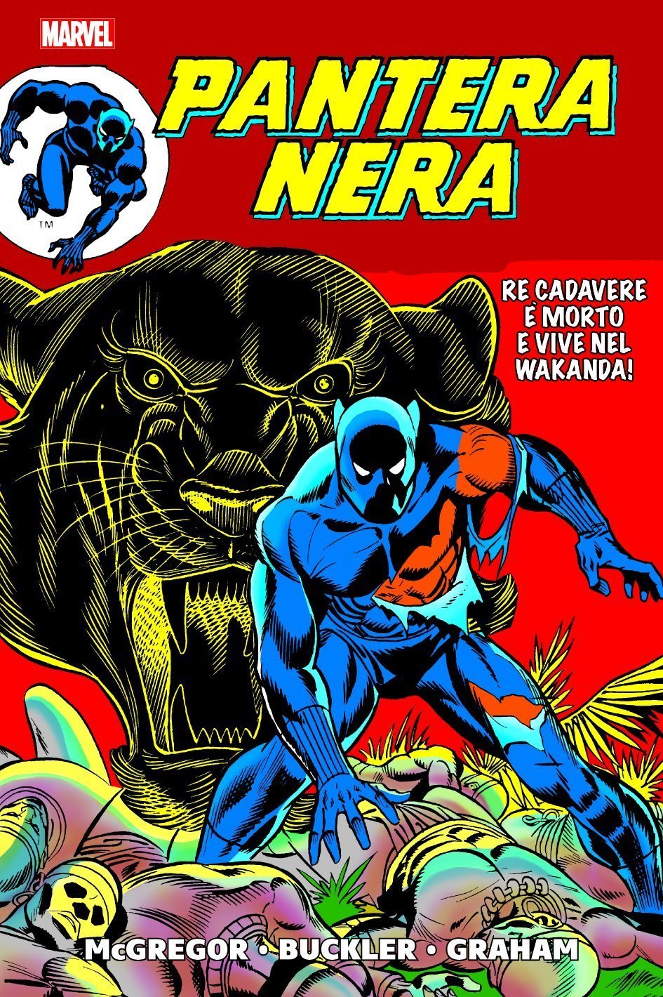 La Rabbia della Pantera Nera: una storia dai toni adulti e introspettivi – RECENSIONE article-post