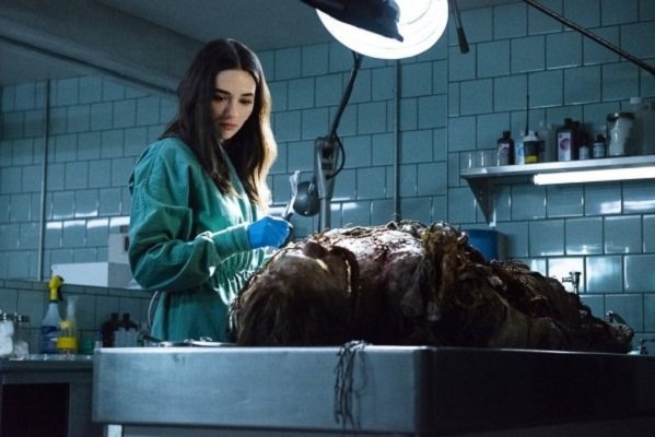 Swamp Thing 1×01 – Pilot | Recensione article-post