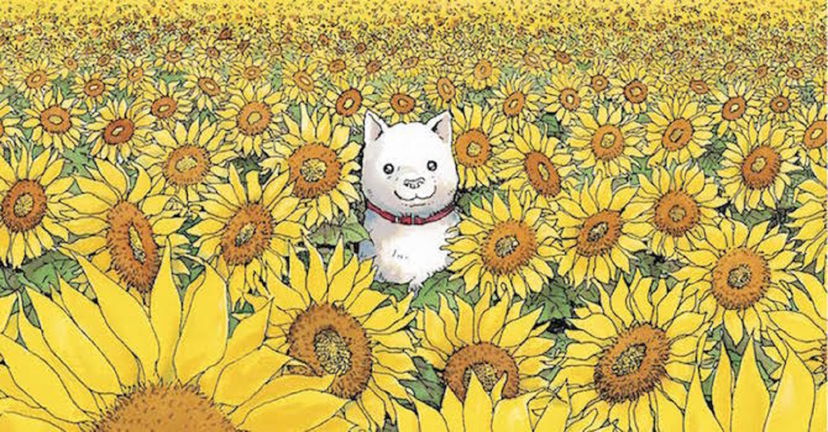 Takashi Murakami de Il cane che guarda le stelle e lo special epilogue del suo ultimo manga preview