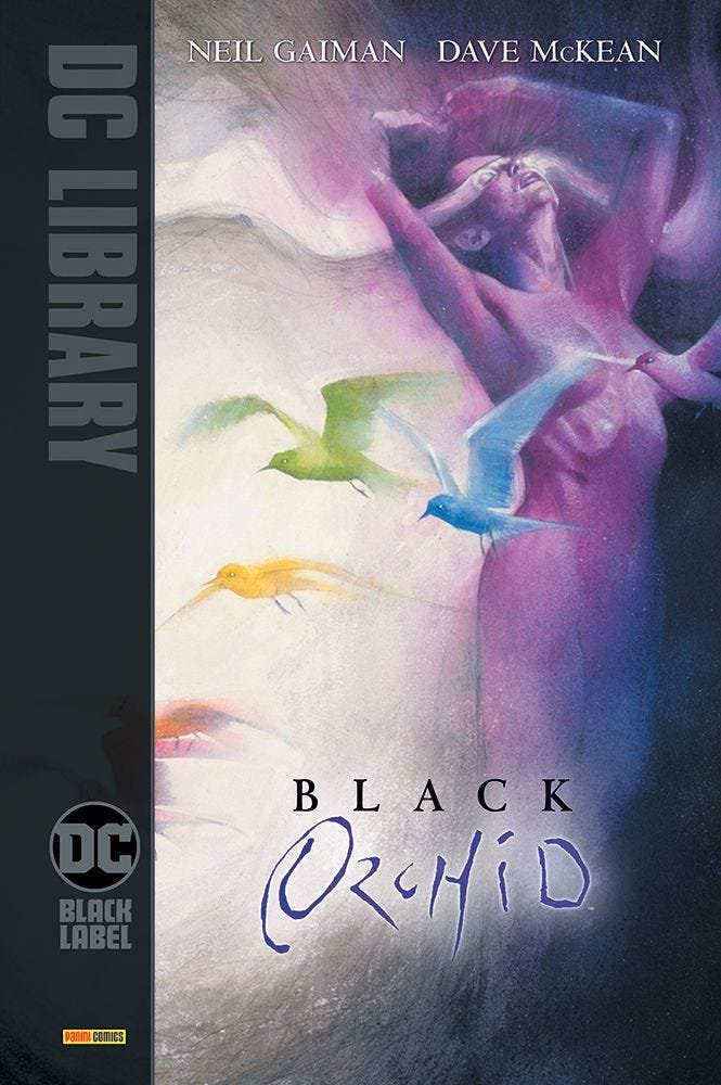 Black Orchid, tra le uscite Panini  DC Comics del 17 Febbraio 2022