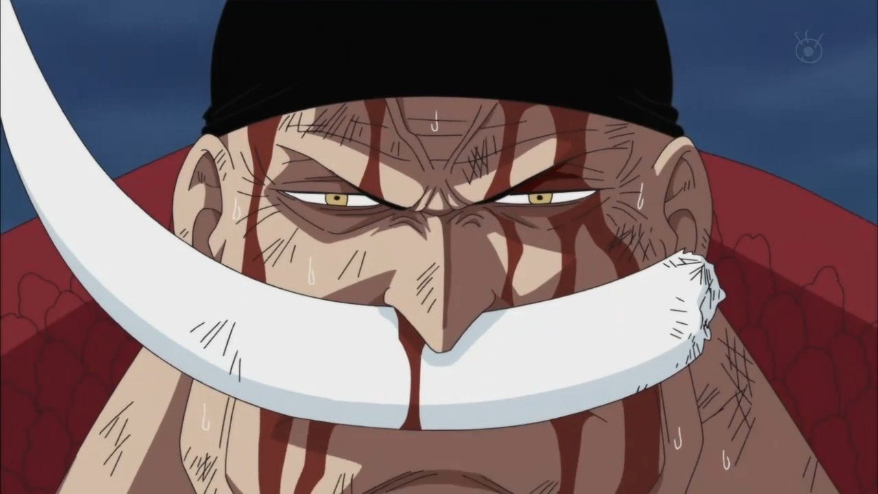 Barbabianca One Piece
