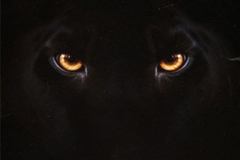 Diabolik: data di uscita e teaser poster dell’ultimo film dei Manetti Bros. preview