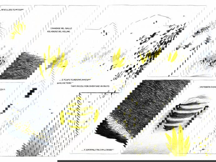 Un mondo senza api 1