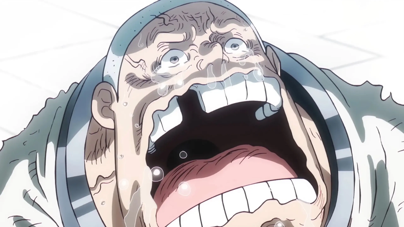 One Piece: l’anime delude i fan con un aggiornamento inaspettato preview