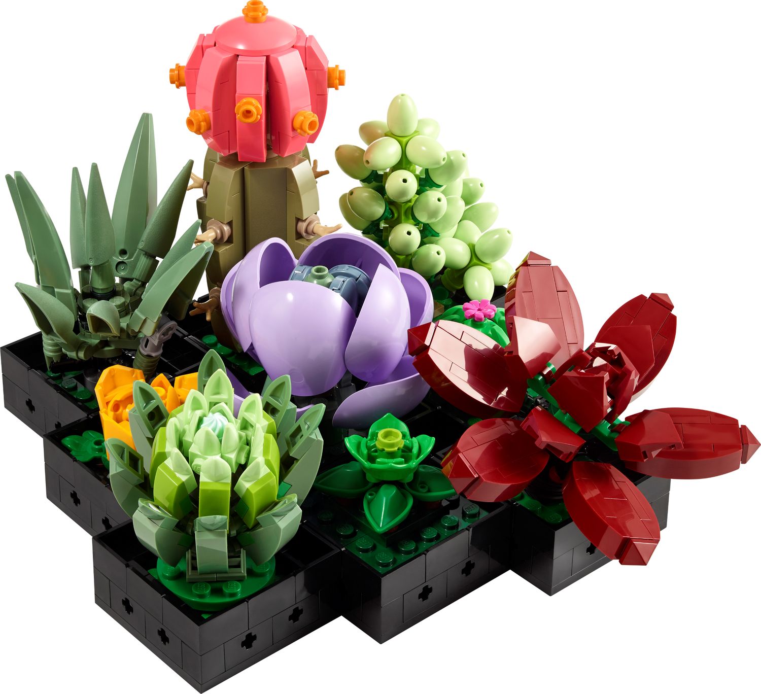 LEGO Piante grasse 10309 con nove piante costruibili nei contenitori neri collegabili