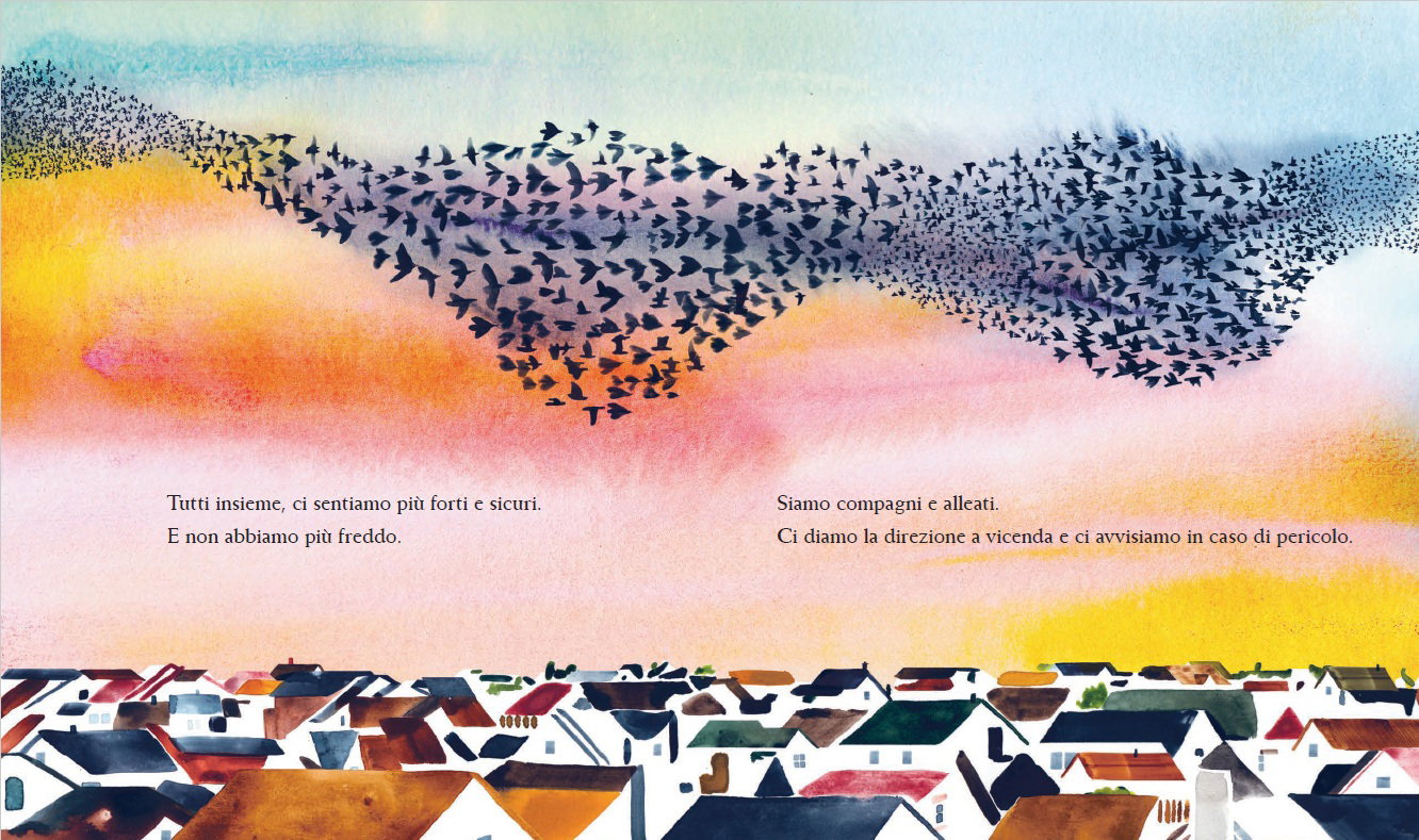 Un magico mormorio, illustrazione di Marc Martin dedicata al volo degli stormi di storni nel cielo