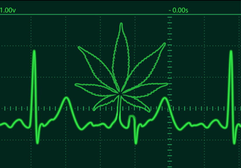 I tre stati che hanno legalizzato la marijuana in USA article-post