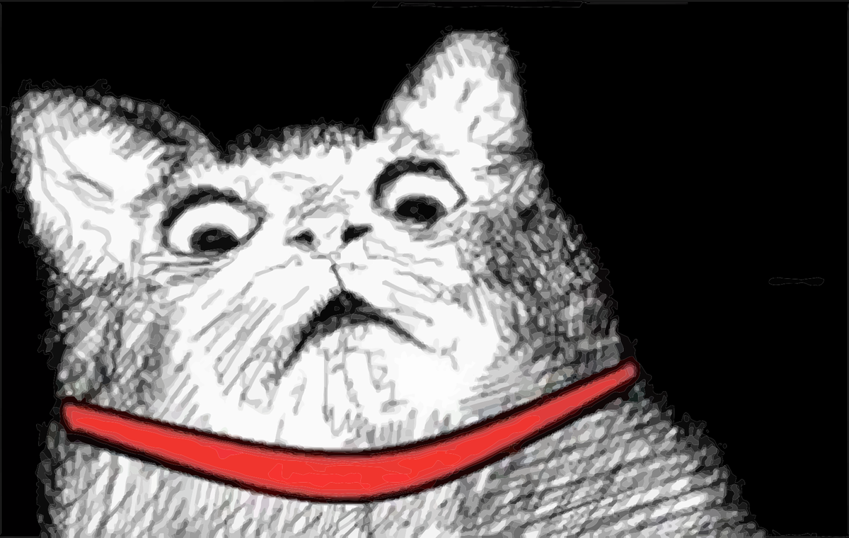 Il gatto preso a calci e i giustizieri animalisti article-post