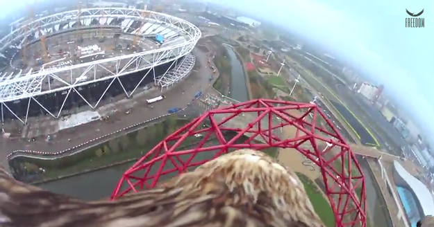 Cosa vede un'aquila che vola sul cielo di Londra article-post